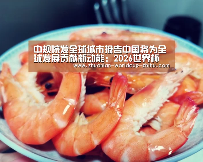 2026世界杯