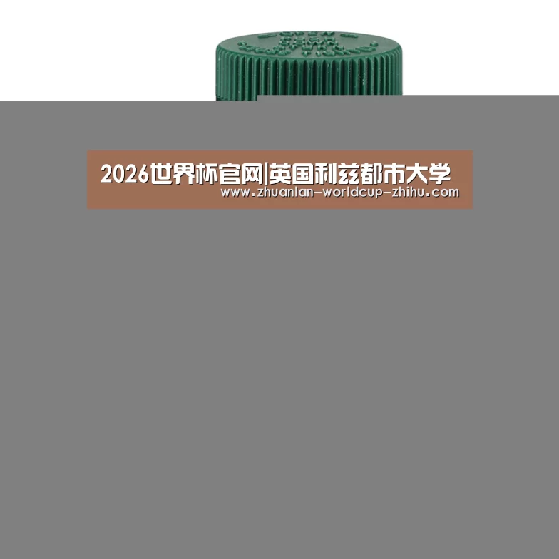 2026世界杯