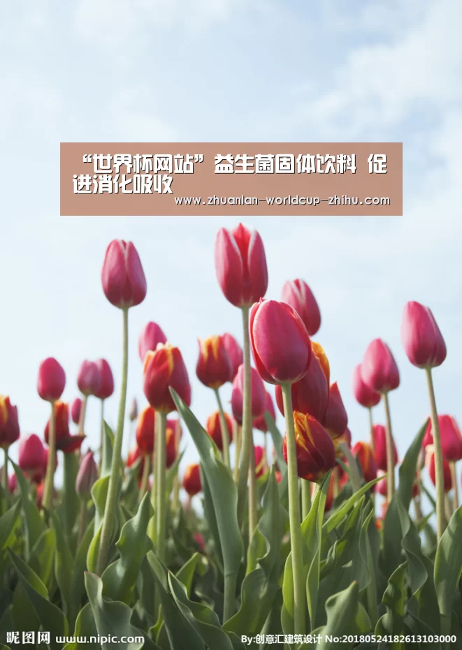 “世界杯网站”益生菌固体饮料 促进消化吸收