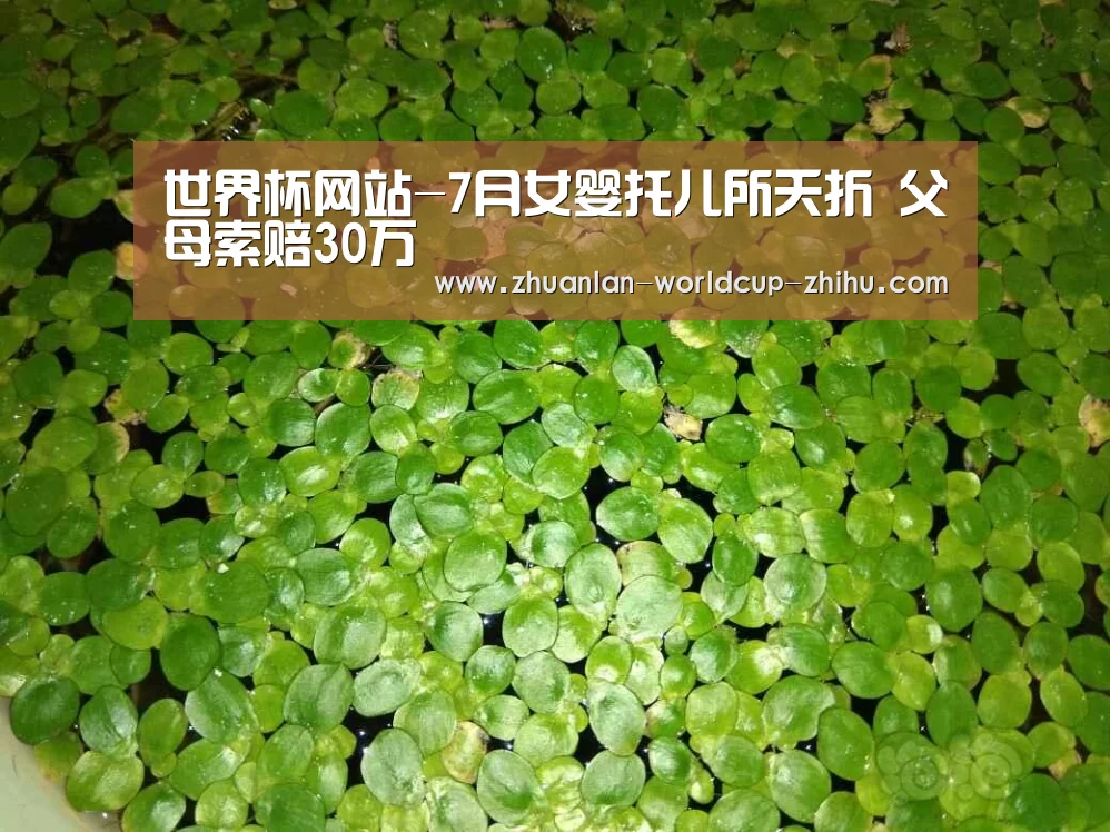 世界杯网站-7月女婴托儿所夭折 父母索赔30万(图4) 世界杯网站