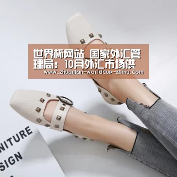 世界杯网站_国家外汇管理局:10月外汇市场供求基本平衡跨境资金流动保持稳定(图2) 世界杯网站