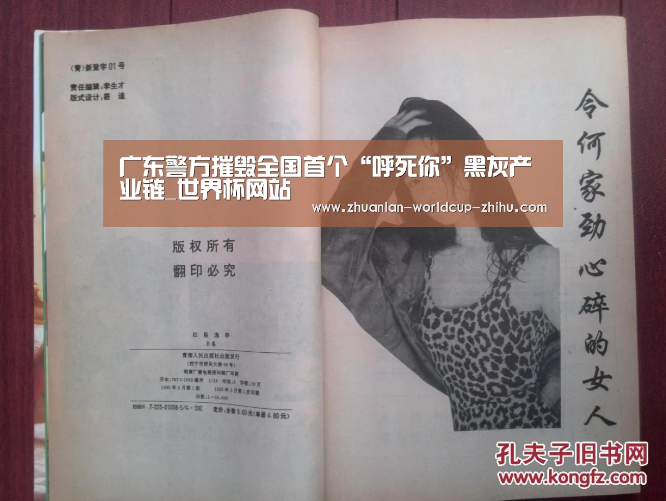 广东警方摧毁全国首个“呼死你”黑灰产业链_世界杯网站(图2) 2026世界杯官网
