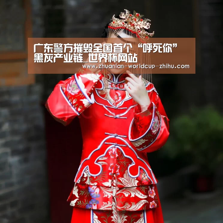 广东警方摧毁全国首个“呼死你”黑灰产业链_世界杯网站(图4) 2026世界杯官网