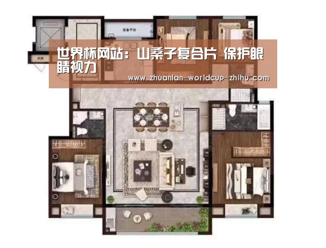 世界杯网站：山桑子复合片 保护眼睛视力
