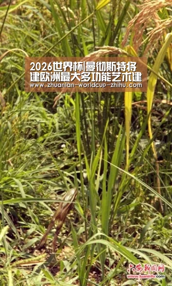 2026世界杯|曼彻斯特将建欧洲最大多功能艺术建筑群(图1) 2026世界杯官网