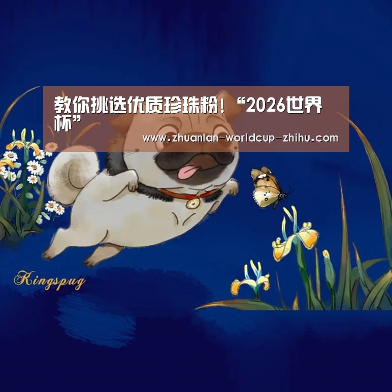 世界杯网站